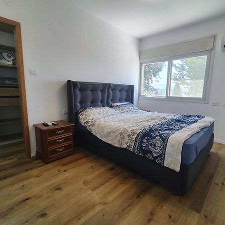 הסוויטה של דפנחי Appartement Ramat Yishay Buitenkant foto